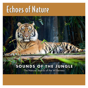 私秘教学下拉歪歪漫画
